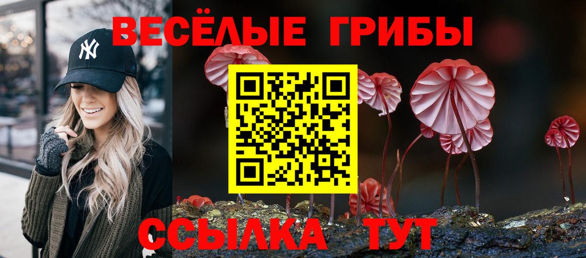 Псилоцибиновые грибы GOLDEN TEACHER  Вход с VPN  Псилоцибиновые грибы Psilocybe  Кулебаки 