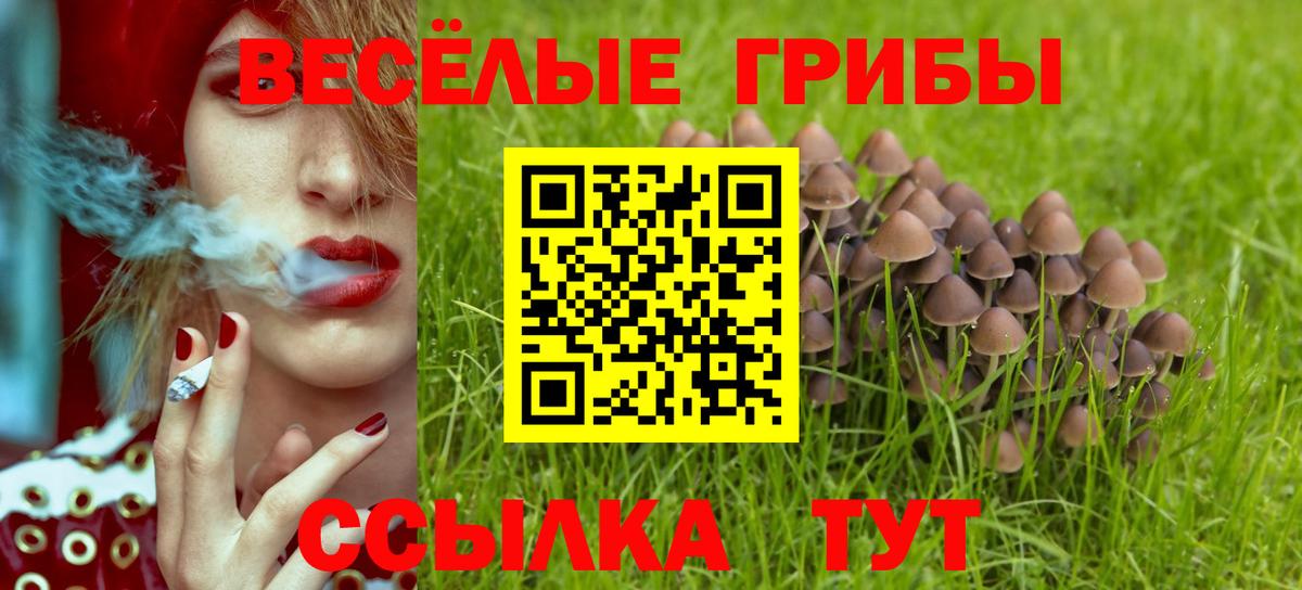 Галлюциногенные грибы GOLDEN TEACHER Кулебаки